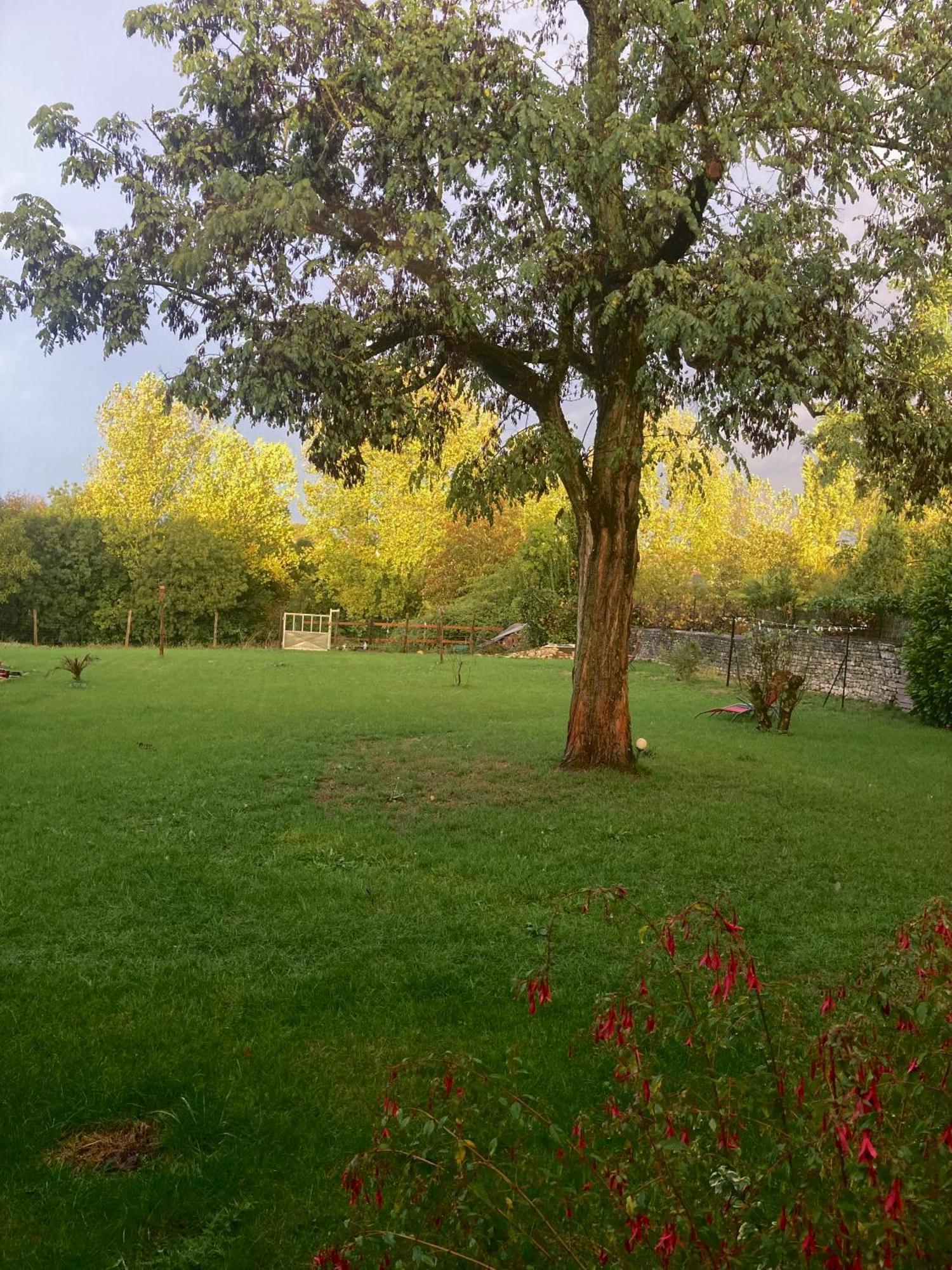 The Blue Lotus Gite And Spa Le Langon Exterior foto